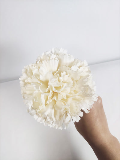 white carnation